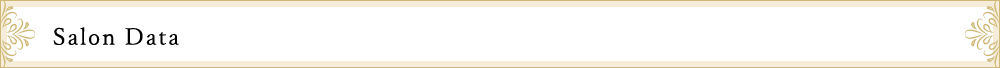 Salon Data