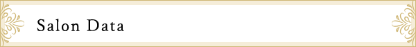 Salon Data